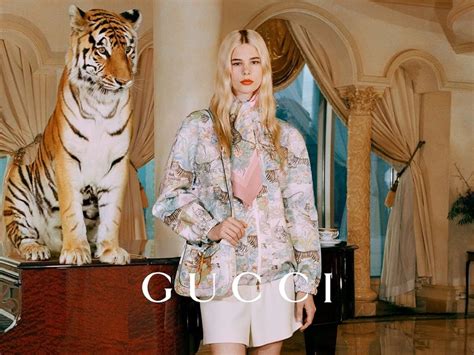 gucci tiger contraseca.